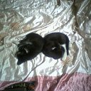 ����� ������ ������... �� ������� ������ �����