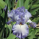  , , 60  -  16  2016    ,,18.05.16.