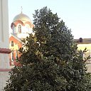 ���� �������, ������� - ��������� 29 ���� 2016 � ������ ��������. ����� ����.�