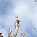 ���� ���������, ���������, 34 ���� - ��������� 19 ����� 2016 � ������ ������ ��������
