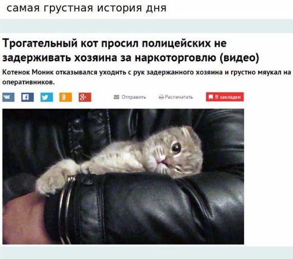     :     ?