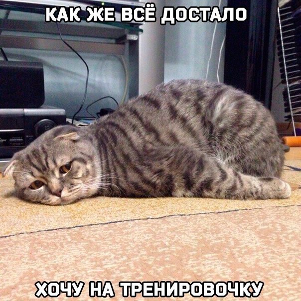 #@ican