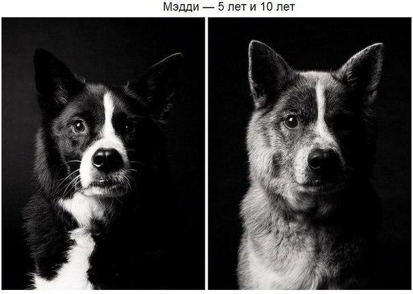    -     - 6
