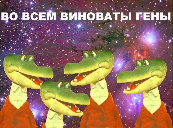  - 26  2016  20:55