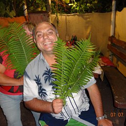 ������, �������������-����������, 62 ����