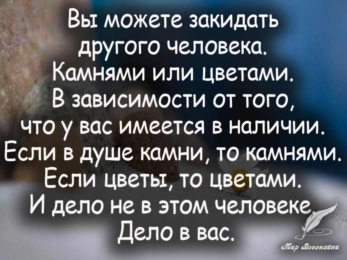 Хочешь читать каждый день новые избранные цитаты , вступай к ... | Быстров  - Коротко о Главном | Фотострана | Пост №1038212055