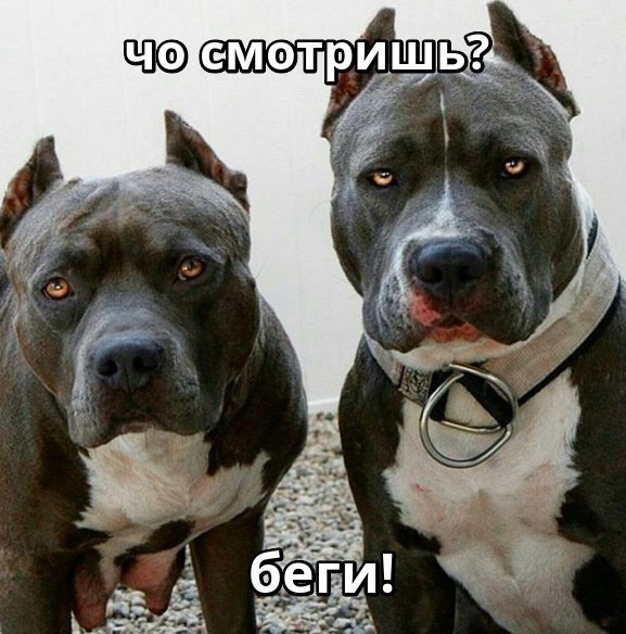  -   - 18  2016  22:37