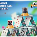 ���� �������� ������������, ���������, 51 ��� - ��������� 4 ��� 2016 � ������ �������� �������-�������