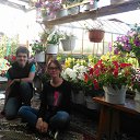 ���� ���������, ����-������, 45 ��� - ��������� 1 ���� 2016 � ������ ������ ��������