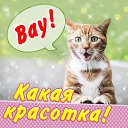 ���� Ira, ����, 64 ���� - ��������� 5 ���� 2016 � ������ �������� ��������