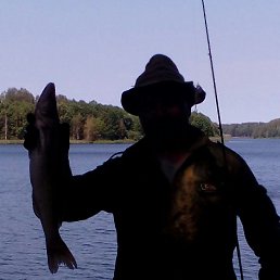 ���� ��������, ������ - ��������� 23 ���� 2016