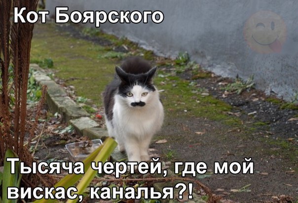 :    - 18  2016  02:30