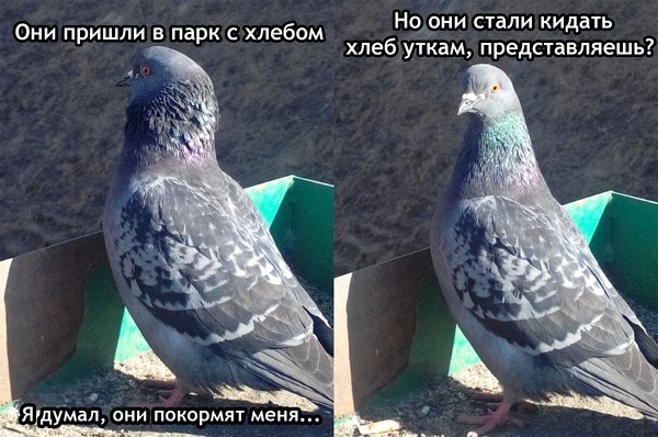 ������... - 27 ����� 2016 � 03:07