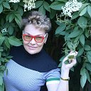 ���� �����, ��������� - ��������� 23 ��� 2016 � ������ ���� ����������