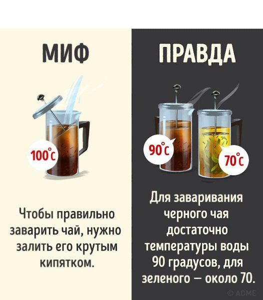 Забери себе и расскажи друзьям про.10 мифов о популярных напитках, которые теперь можно смело забыть - 3