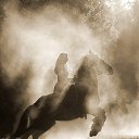 ���� ������, ���������� ����� - ��������� 10 ������� 2016 � ������ ���� ����������