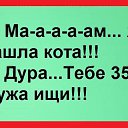  , , 50  -  17  2016    