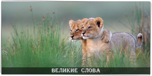 Счастье заразительно. Чем счастливее вы, тем счастливее те, кто вокруг вас.