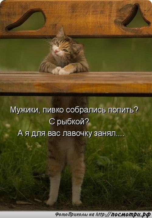 Без кота и жизнь не та - 16 марта 2016 в 06:05