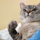 ���� ��������, ������������, 39 ��� - ��������� 29 ����� 2016 � ������ ������ ��������