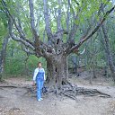 ���� �������, ������������, 66 ��� - ��������� 4 �������� 2016 � ������ ���� ����������