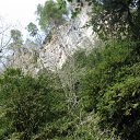 ���� ����, ���������, 40 ��� - ��������� 12 ����� 2016 � ������ ���� ����������