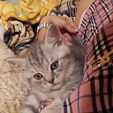 ���� ���, ��������, 42 ���� - ��������� 5 ���� 2016 � ������ ������� ������