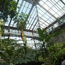 ���� ������, ������, 66 ��� - ��������� 12 ������ 2016 � ������ ������������� ���