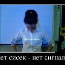 ���� ����, ������, 43 ���� - ��������� 3 �������� 2016 � ������ ���� ����������