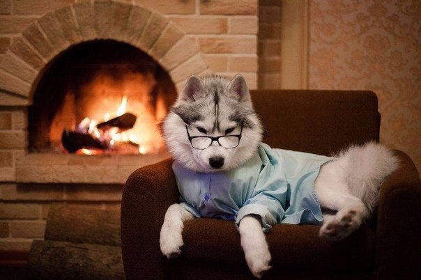 ,    .      ,   , ... - 3