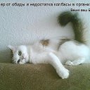 ���� ������ �������, ������ - ��������� 16 ���� 2016 � ������ ���� ����������