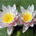 ���� ����, ��������� - ��������� 29 ����� 2016 � ������ ���� ����������