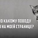 ���� �������, ��������, 49 ��� - ��������� 13 ������ 2016 � ������ ������ ��������