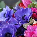 ���� ��������� ���������, ��������� - ��������� 23 ��� 2016 � ������ ���� ����������