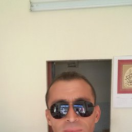  Zeki, , 49  -  20  2016