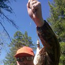 ���� ��������, ������������, 55 ��� - ��������� 15 ������� 2016