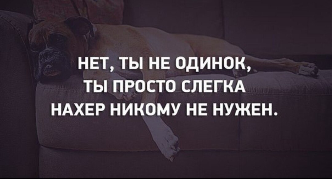  - 18  2016  23:54
