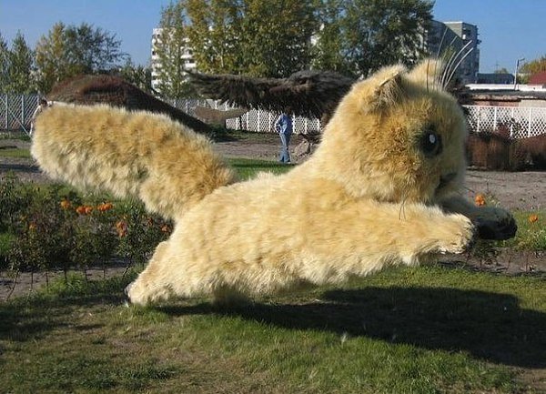 В городе Абакан собрали котенка из пушистых стебельков дикого ячменя.