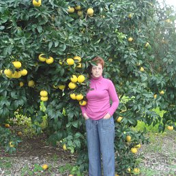 ����, �����-���������, 60 ���