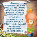 ���� ����������, ����� - ��������� 22 ���� 2016 � ������ ������ ��������