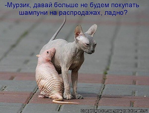 ***Victoria Viktorovna*** - 15 ��� 2016 � 05:08