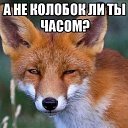 ���� ����, ���������, 63 ���� - ��������� 29 ����� 2016 � ������ ������ ��������