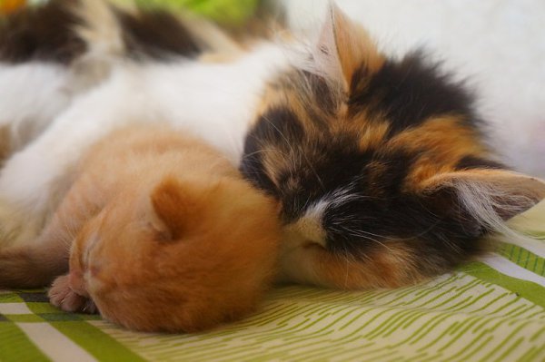       - 21  2016  13:36 - 2