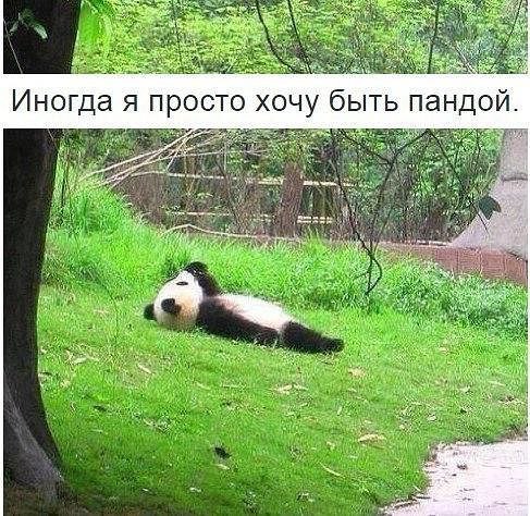  - ,  - 19  2016  13:08