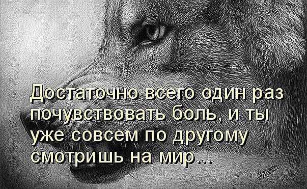 Joli Rem - 27  2016  19:43