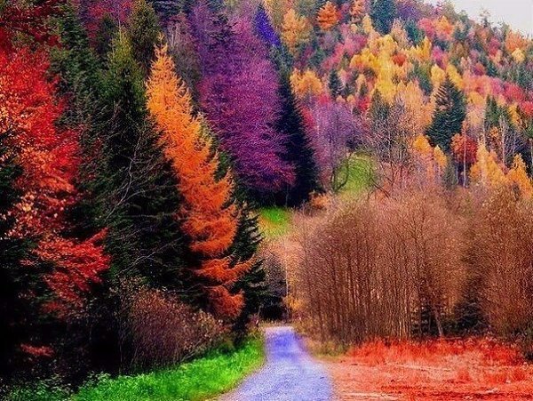Только осенью хочется пить теплый чай и влюбляться в новую книгу... Только осенью можно скучать по ... - 5