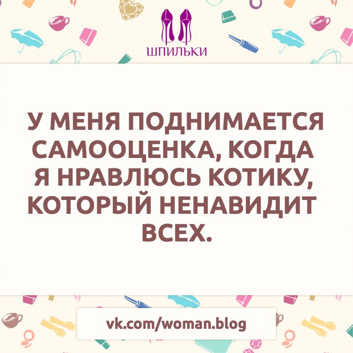  |   - 12  2016  21:21