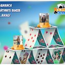���� Vladimir, ����-���������, 56 ��� - ��������� 20 ��� 2016 � ������ �������� �������-�������