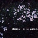  ,  -  24  2016