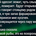 ���� ����, ��������� - ��������� 4 �������� 2016 � ������ ���������� ���������